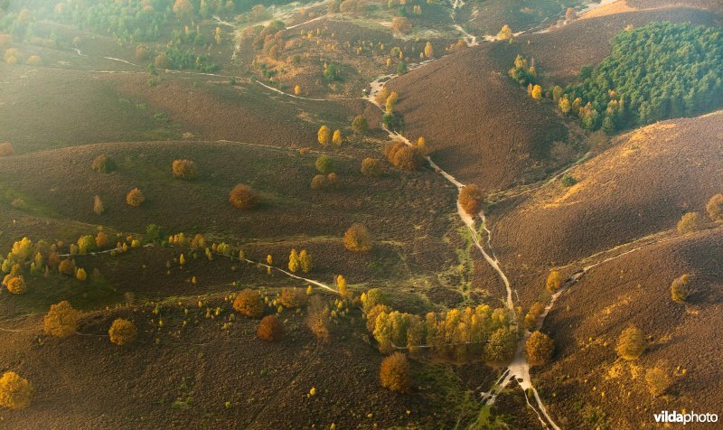 Luchtfoto van het Herikhuizerveld op de Veluwezoom in de herfst