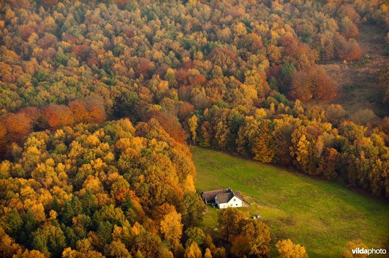 Luchtfoto van boerderij Het Klaphek in herfstbossen op de Veluwezoom