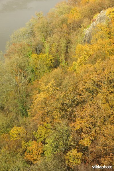 Bossen van Freyr