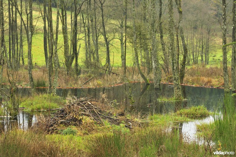Beverburcht en meertje