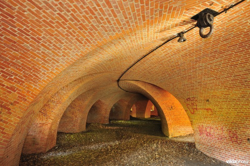 Fort 6