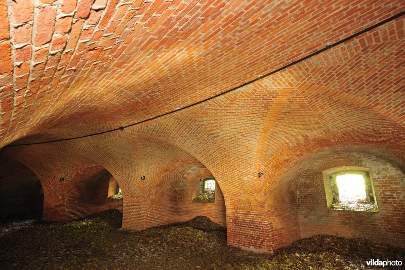 Fort 6