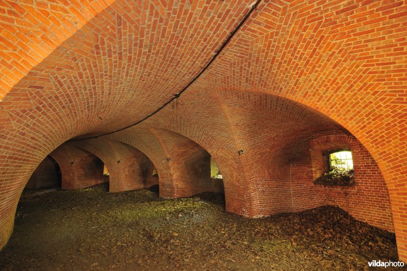 Fort 6