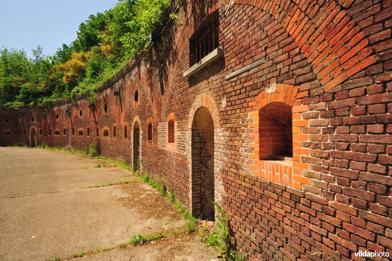 Fort 8