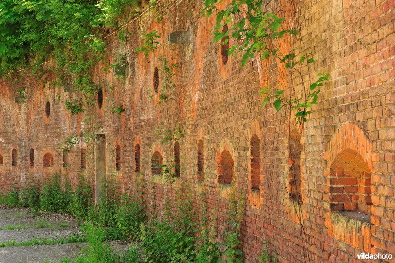 Fort 8