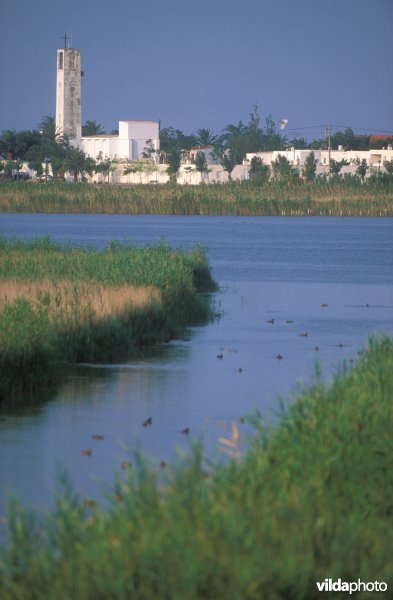 Ebro delta
