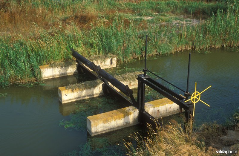 Waterkering in de Ebro delta