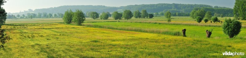 Hooilanden in de Langemeersen