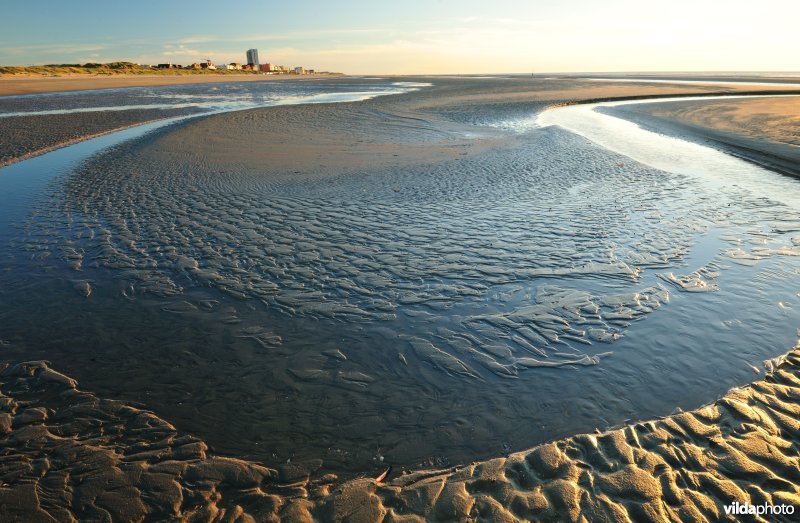 Strand te Koksijde