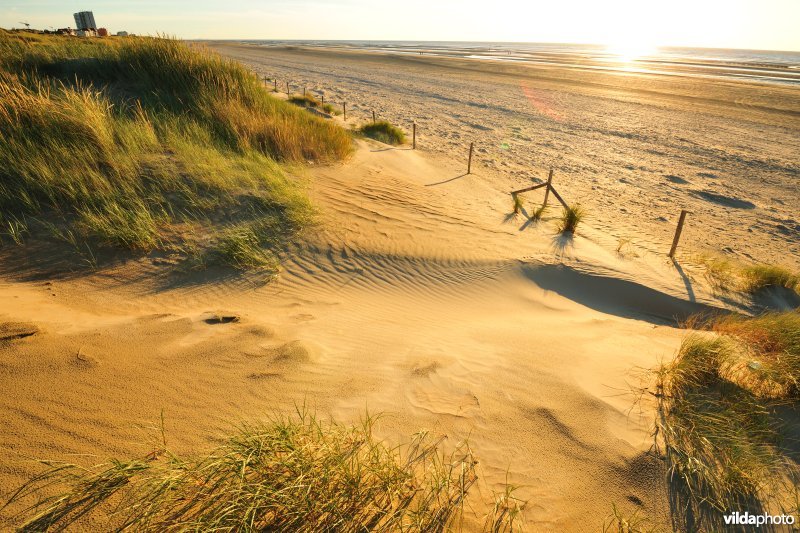 Natuurreservaat Zeebermduinen