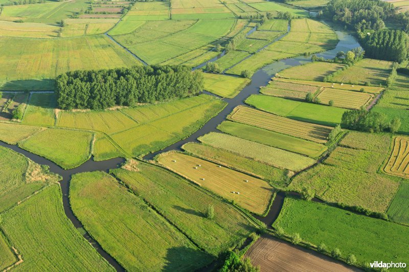 Oude Schelde en Scherenmeersen