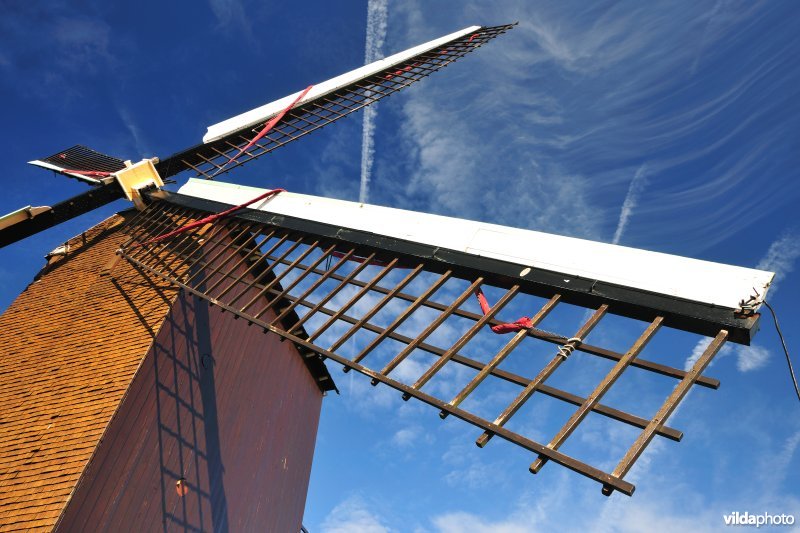 Zuid-Abdijmolen in de Noordduinen