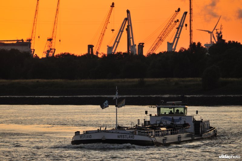 Schelde in Antwerpen