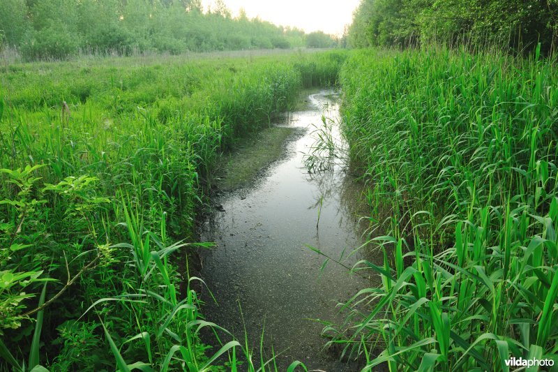 Vlassenbroekse Polders