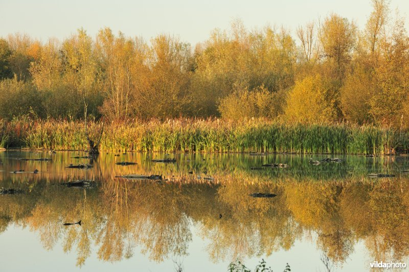 Provinciaal domein Broek De Naeyer