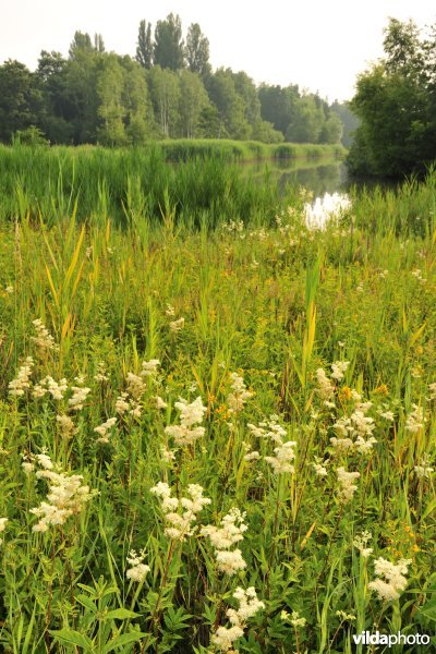 Natuurreservaat Torfbroek