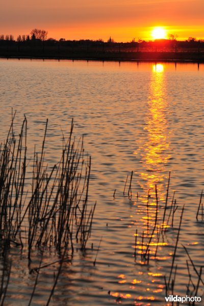 Natuurreservaat Putten West