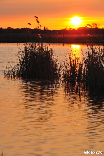 Natuurreservaat Putten West