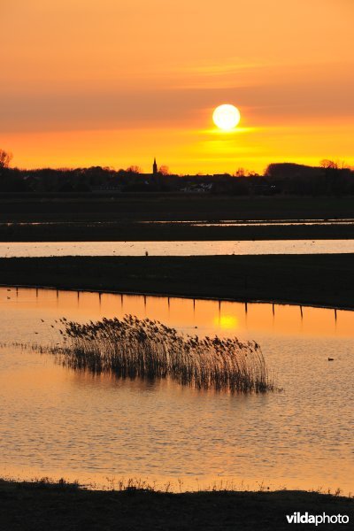 Natuurreservaat Putten West