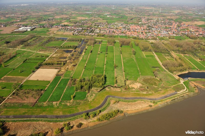 Weidevogelgebied in de KBR-polder