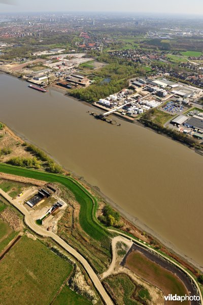 Overloopdijk langs de Schelde aan de KBR Polder