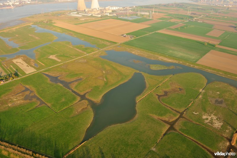 Doelpolder Noord