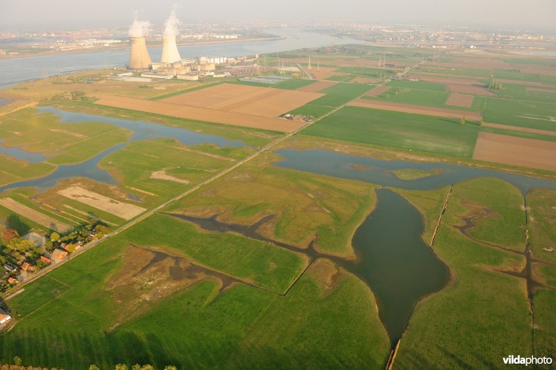 Doelpolder Noord