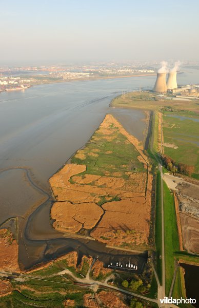 Paardenschor in Doel