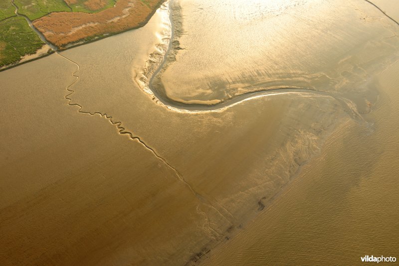 Paardenschor in Doel