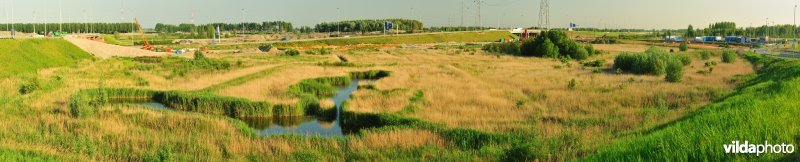 Steenlandpolder