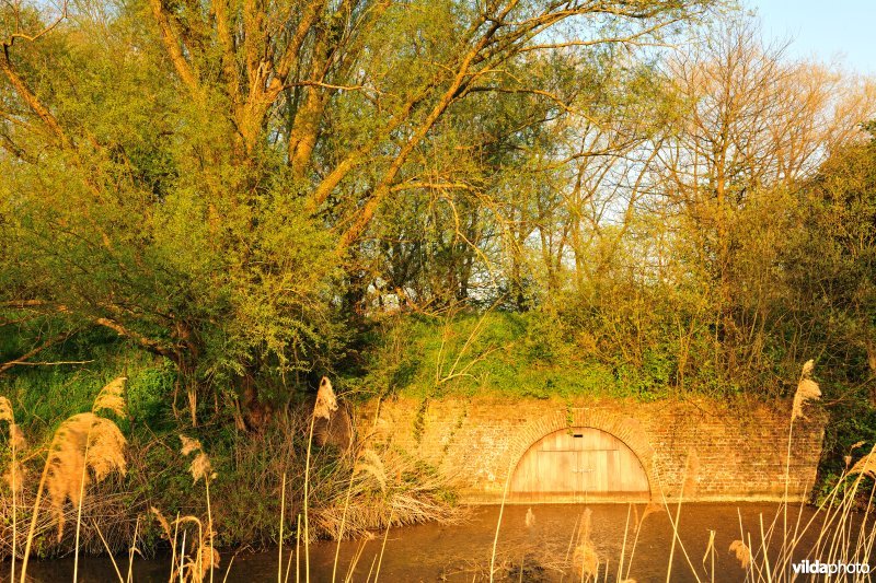 Vleermuizenreservaat in de Bourgoyen