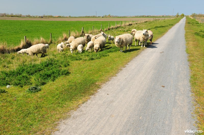 Spoorweg Frontzate