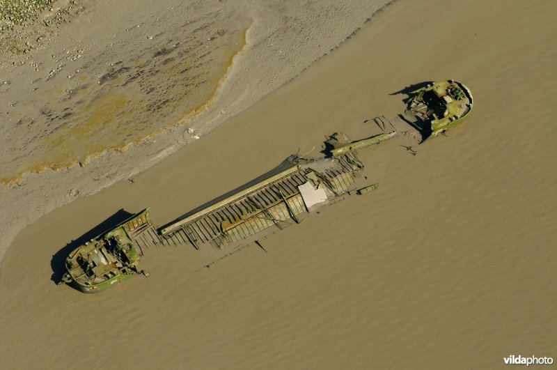 Scheepswrak in de Scheldemodder