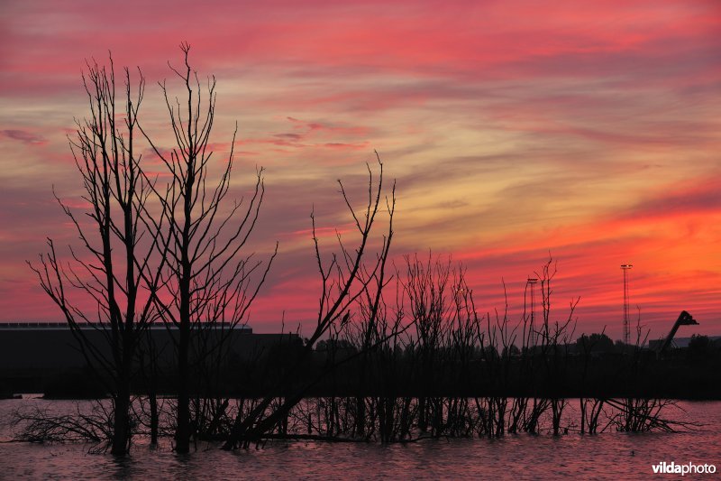 Verrebroekse plassen