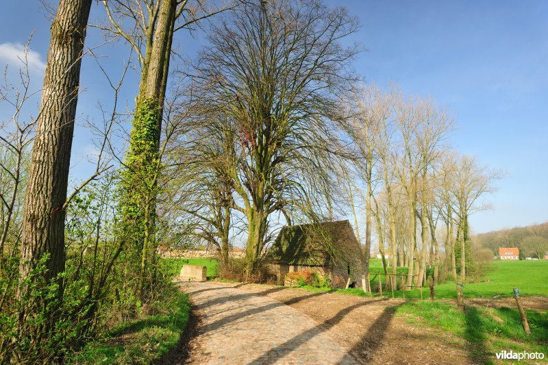 Watermolen Ten Broecke