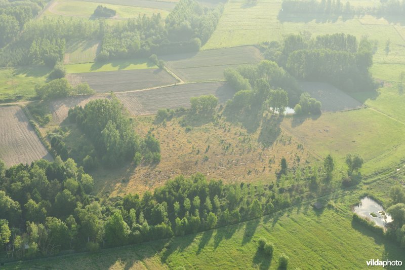 Landduinen in Uitbergen