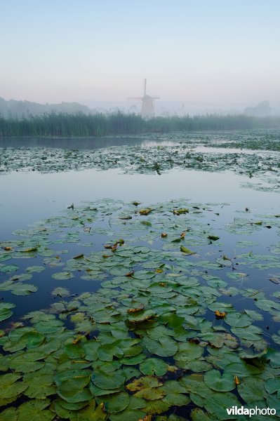 Veenplas met legakkers