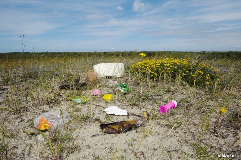 Zwerfvuil op Schiermonnikoog