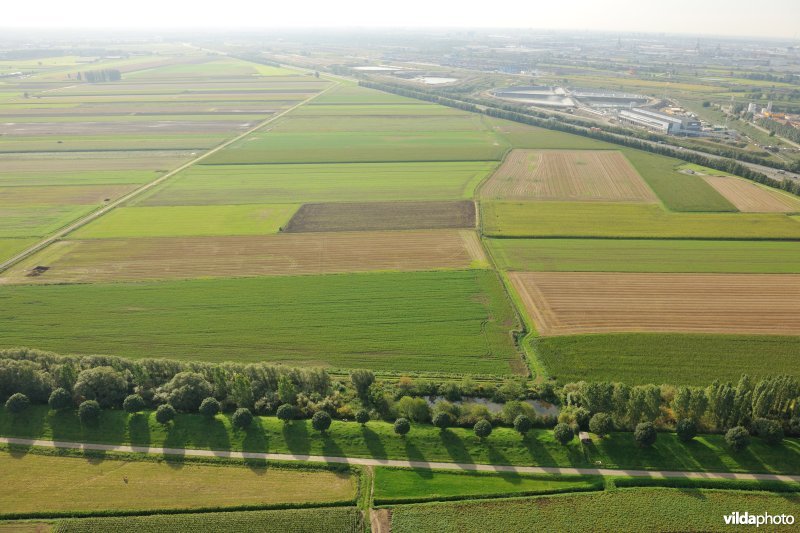 Cauwensteinse dijk