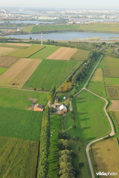 Cauwensteinse dijk