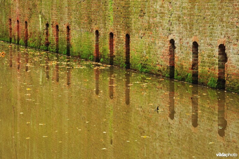 Fort Steendorp