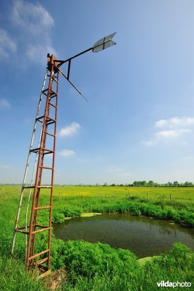 Oude windmolen in de IJzervallei