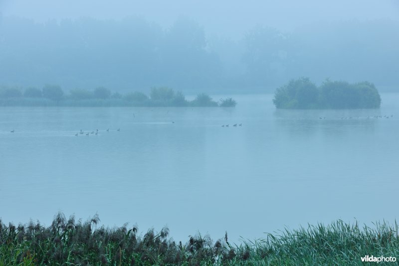 Grootbroek