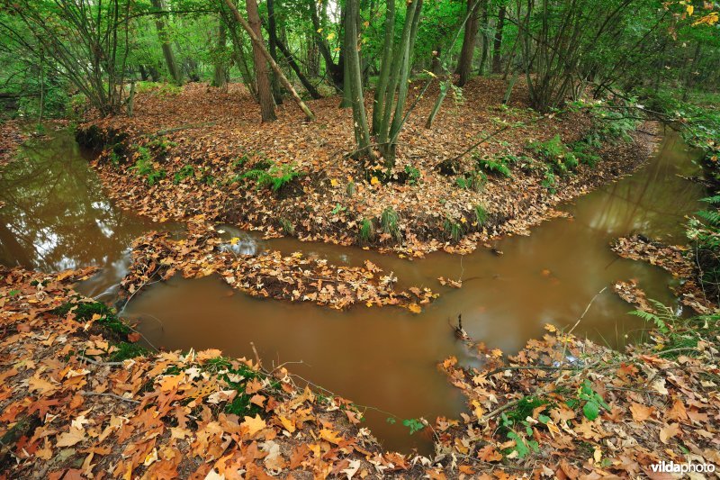 Vallei van de Zwarte Beek