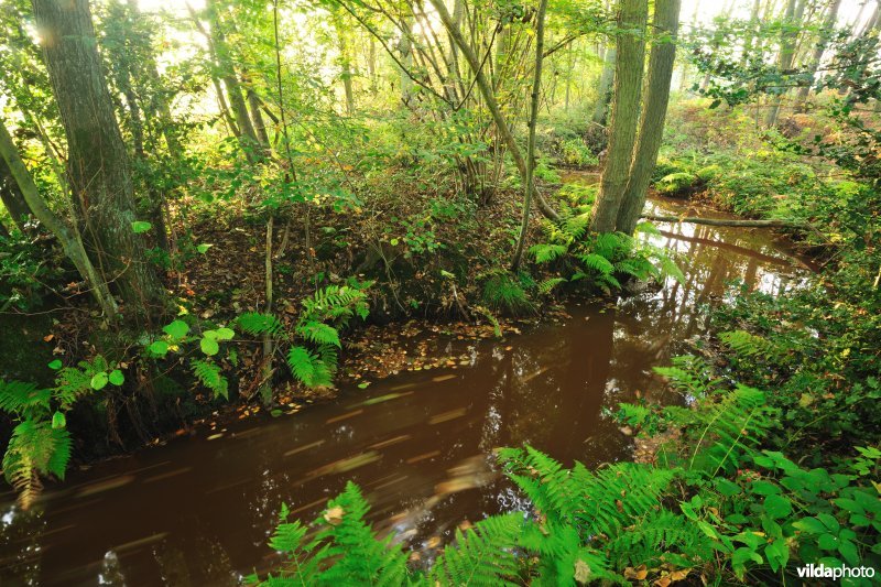 Vallei van de Zwarte Beek