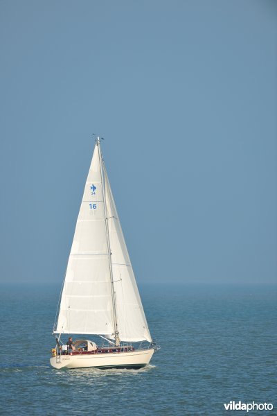 Zeilboot op de Noordzee