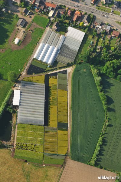 Glastuinbouw vanuit de lucht