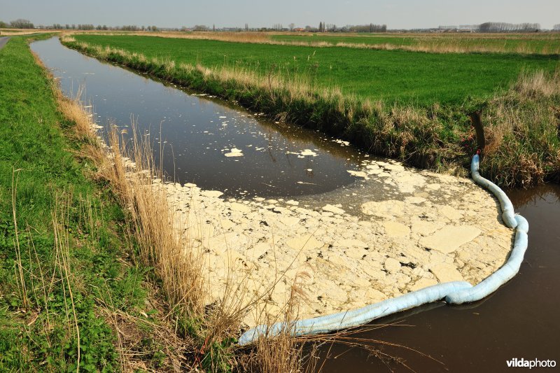 Vervuiling in de Stenensluisvaart