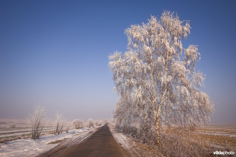 Winters landschap in Polen