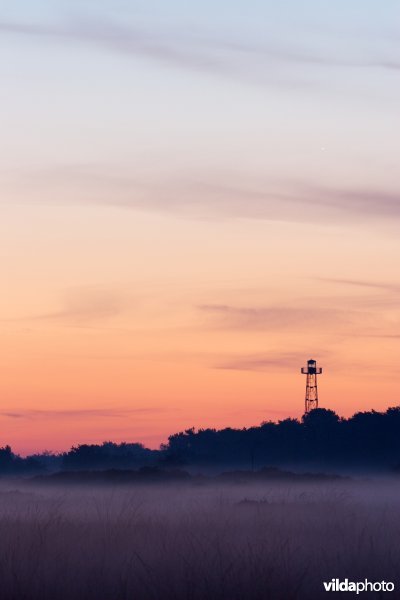 Zonsopgang boven de heide